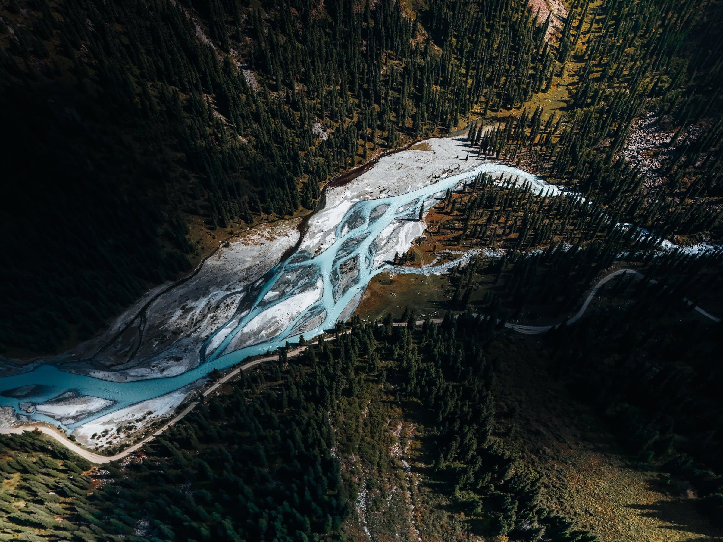 A glacial stream winding through spruce forest near Altyn-Arashan