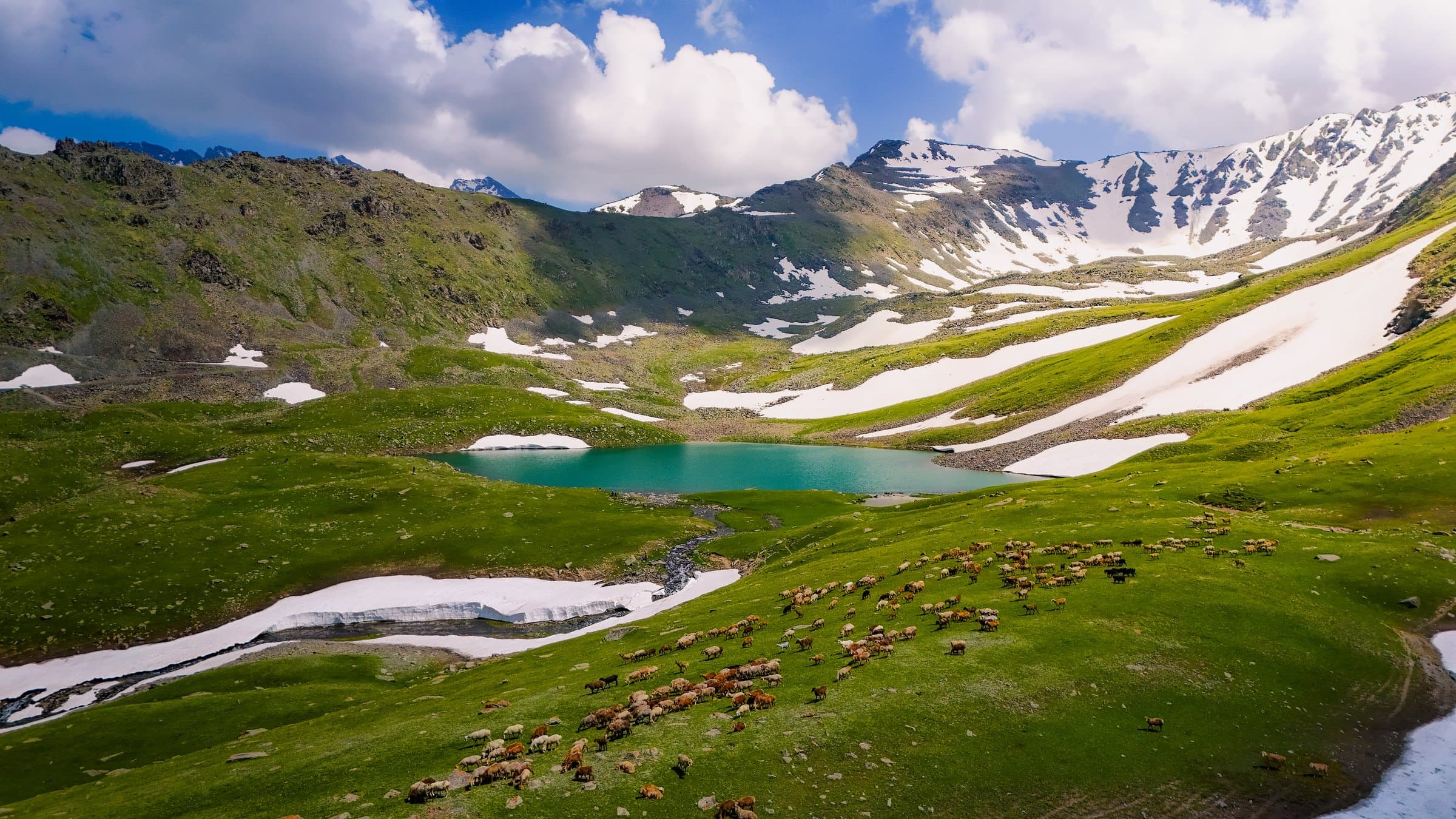 Aerial view of a turquoise alpine lake with grazing horses and snow-capped peaks